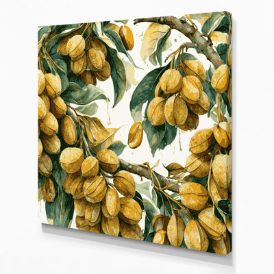 «Fruit Longan Brown», art mural sur toile