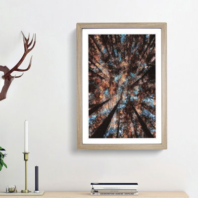 Redwood Forest California - Single Picture Frame Print on MDF
