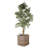 Beachcrest Home™ Ayriauna Wicker Decorative Basket-1956771100