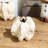 Organic Textured Stoneware Container (Set of 2)