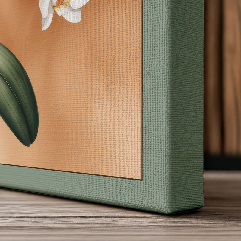 White Orchid Study Botanical - Wrapped Canvas, 18x12 - 45.7 x 30.5 cm, Sage Border