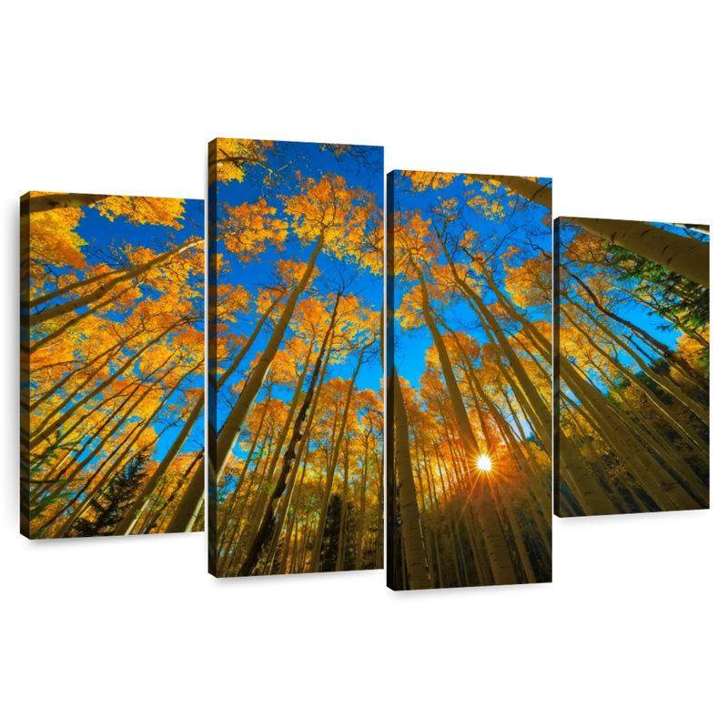 Birch Forest Sunburst, 22" H x 36" W