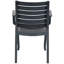 Fauteuils de salle à manger Dorthula-1595554080