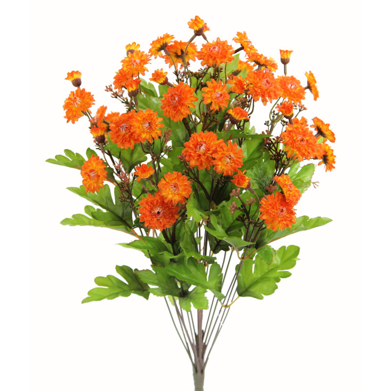 Douille mum de fleurs, Orange