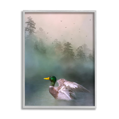Canard colvert nageant sur le lac Woodland, estampe numérique de Kelley Parker