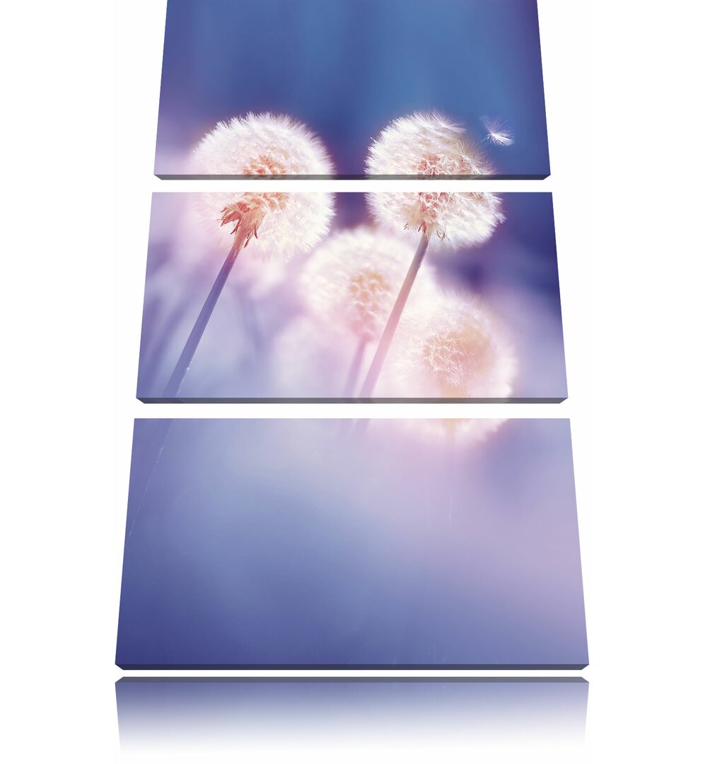 3-tlg. Leinwandbilder-Set Pusteblumen im morgendlichen Wind, Fotodruck