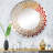 Circle Mirror-96240733-128762220