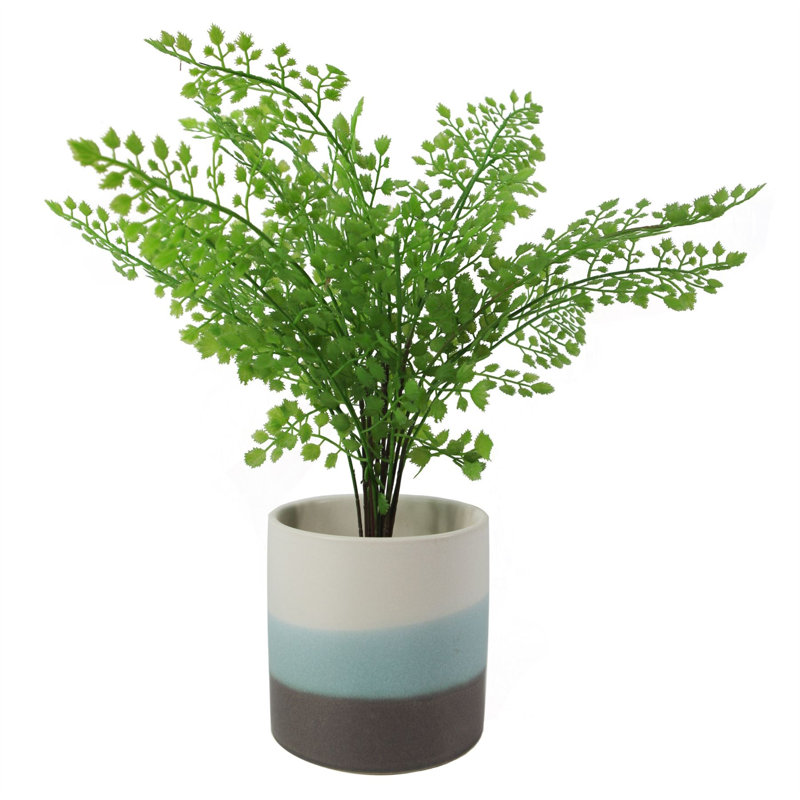 Ceramic Indoor Cachepot
