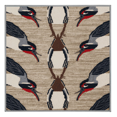  Tapis lavable commun Waxbill Birds
