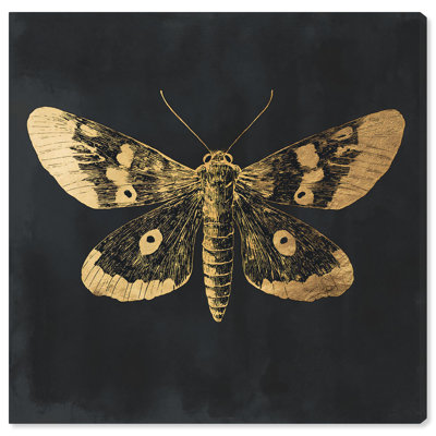 Sunlit Butterfly II Canvas Folk Art Prints by Art Remedy