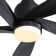 Damecia 52'' Ceiling Fan with LED Lights