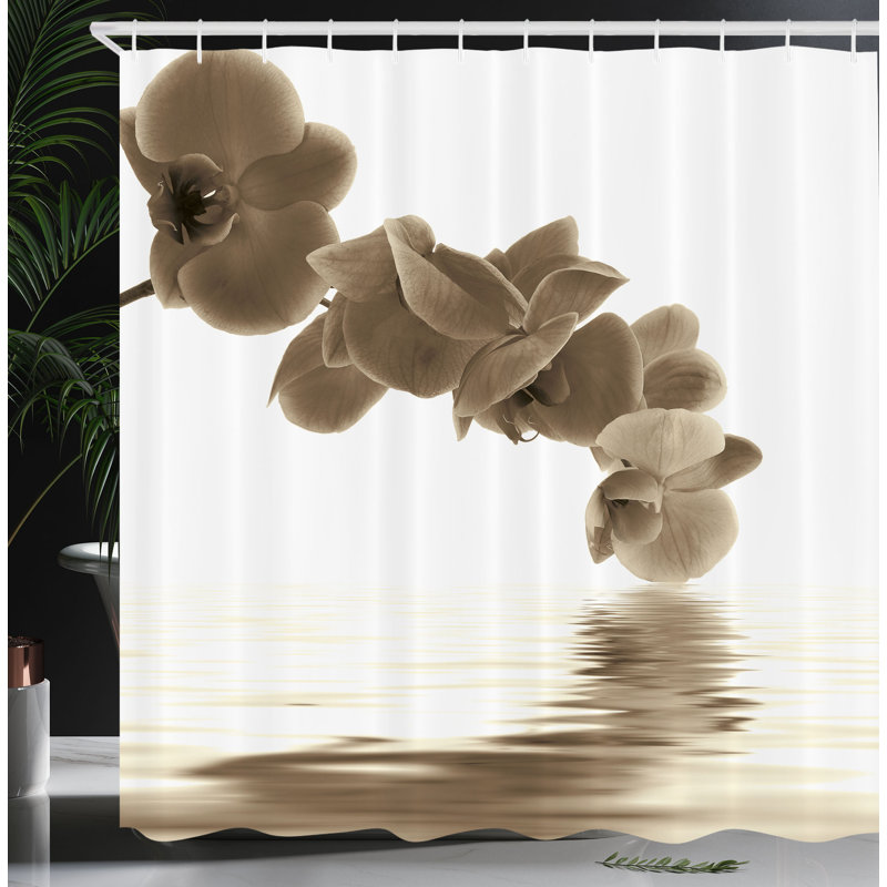  Rideau de douche avec crochets inclus, Sépia / blanc, H 70 po x l 69 po