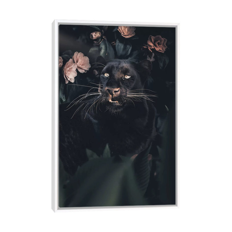 Black Panther by Zenja Gammer - Print on Canvas, 66.04 cm H x 45.72 cm W, White Framed