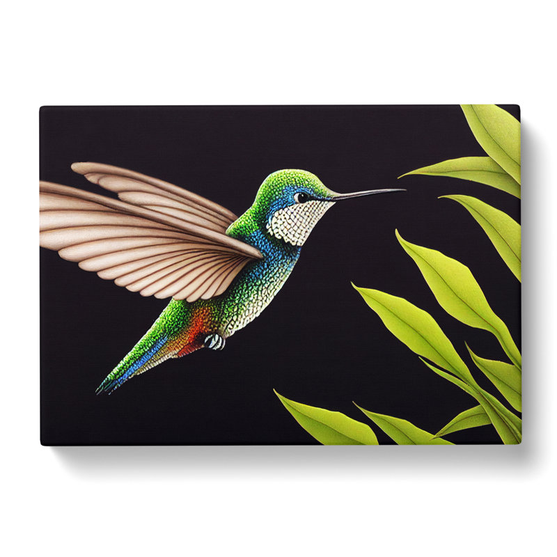 Beguiling Hummingbird - Wrapped Canvas, 40cm H x 60cm W x 3cm D