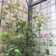 Treillis polyvalent en métal pour les plantes d'extérieur, rehaussant la beauté du jardin
