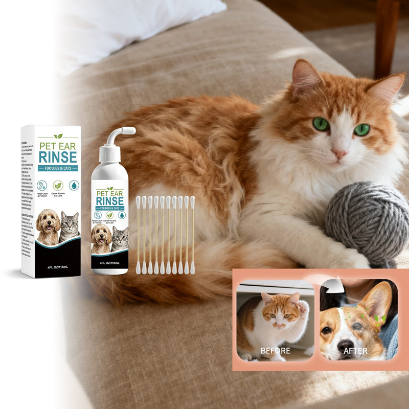 Vêtements pour animaux en polyester, solution nettoyante pour les oreilles de chiens et de chats (118 ml), avec cotons-tiges, trousse de lavage doux pour les oreilles, produits d'entretien quotidien.