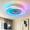 Ventilateur de plafond encastré 24 po à DEL Bluetooth Bluetooth Makaiyla avec télécommande vocale APP