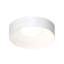 Ilios 1 - Light LED Flush Mount-49992681-49992682