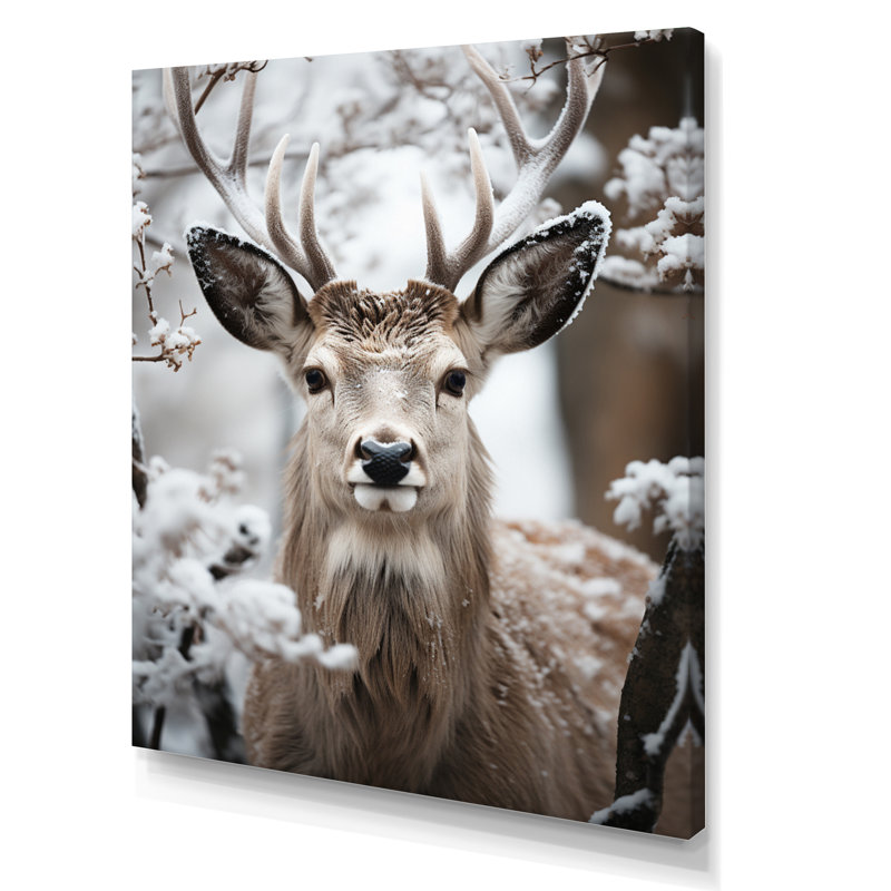 «Baruc Animal Winter Deer», reproduction sur toile encadrée, Toile tendue, H 20 po x l 12 po x P 1 po
