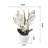 Orchid Arrangement in Pot