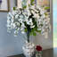 Fleurs et tiges de glycine-479851203