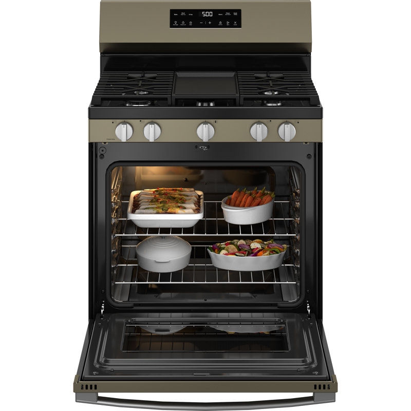 GE 30" Free-Standing Gas Range, Slate