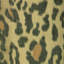 Safari Warp Print-945022495