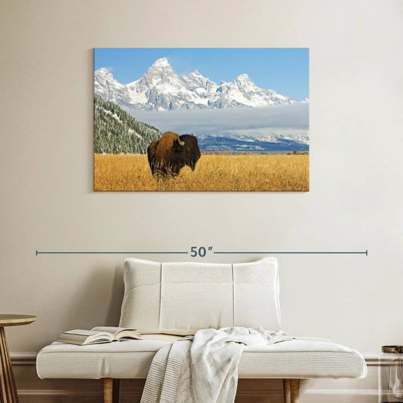 Grand Teton Bison Bull, H 26 po x l 39 po