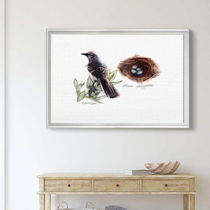 «Bird and Nest Study I», impression sur toile encadrée, Argent, H 22,5 po x l 30,5 po x P 1,5 po