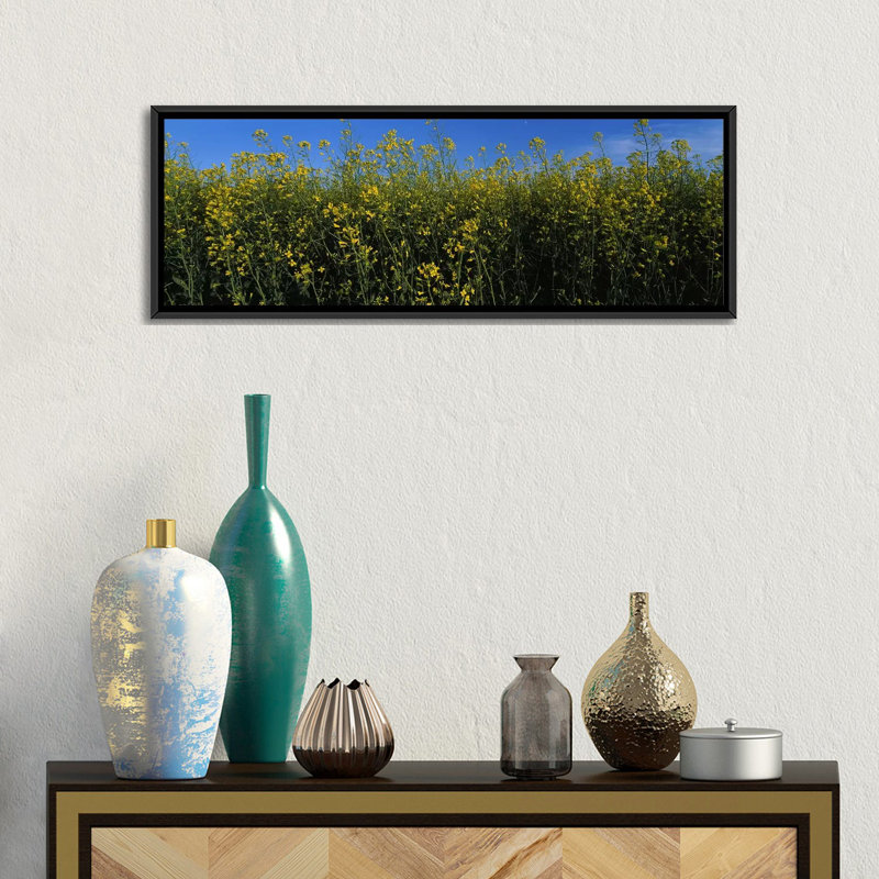Fleurs de canola dans un champ, Edmonton, Alberta, Canada par Panoramic Images - reproduction de photo, Toile avec cadre noir