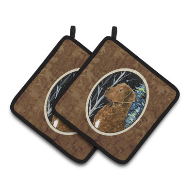 Red Barrel Studio® Bernadeta Polyester Potholder