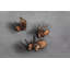 Gobi Glass Coffee Table