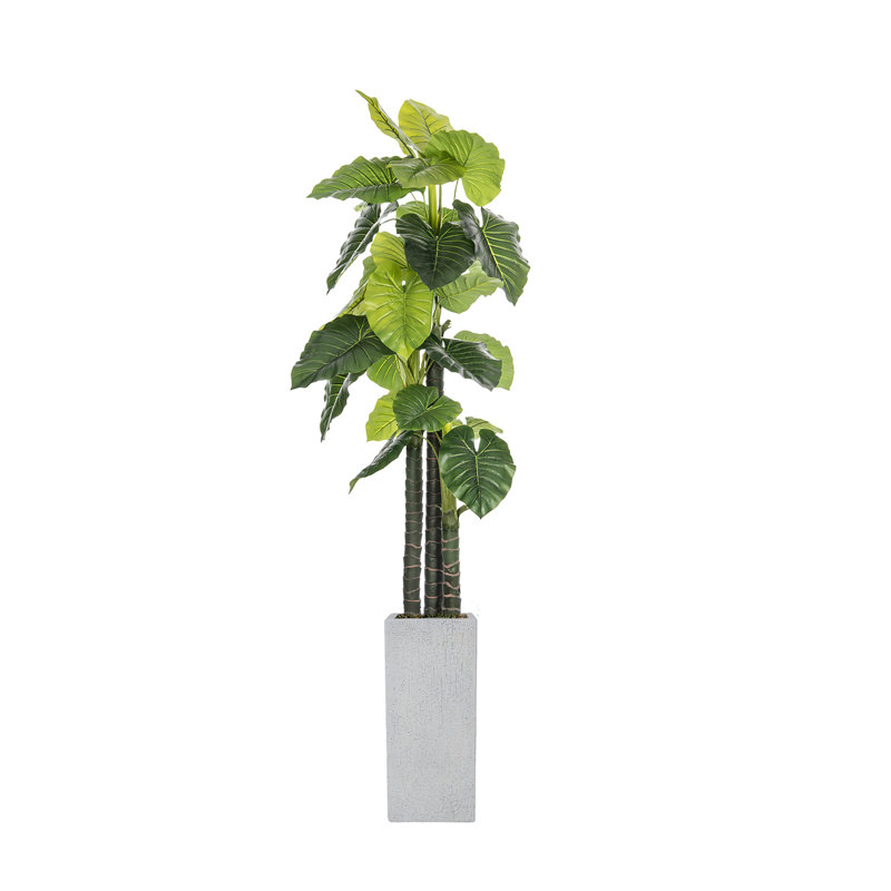 Arbre à oreilles éléphant artificiel dans un pot de fleurs carré en fibre de pierre beige