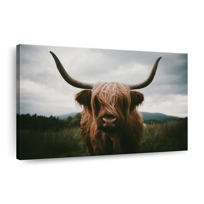 Sur toile, H 24 po x l 16 po x P 1,25 po