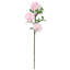 Tige d'hortensia de luxe-1183378539