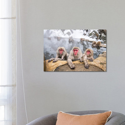 A Group Of Japanese Macaques (Snow Monkeys) Taking A Bath In A Hot Spring by Jan Becke - Wrapped Canvas Print