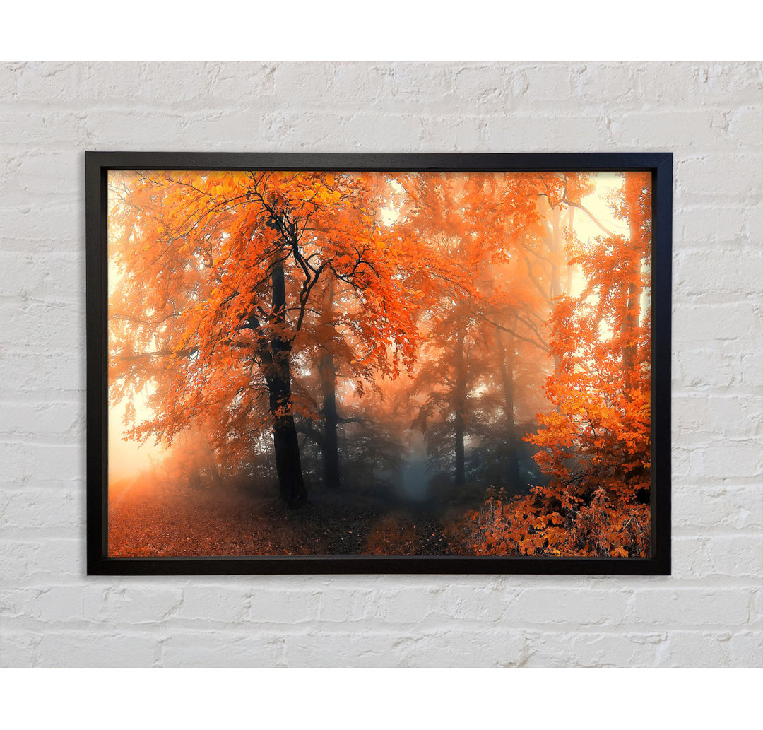 Herbst Orange Mist - Einzelner Bilderrahmen Kunstdrucke auf Leinwand