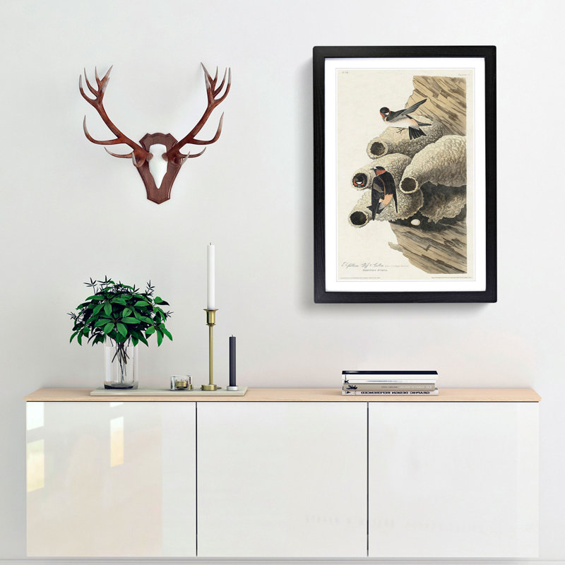 Cliff Swallows by John Audubon - Picture Frame Painting Print, Black Framed, 48cm H x 36cm W x 2cm D