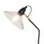 Himanshee Adjustable Metal Desk Lamp