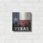 «Texas» par Moira Hershey-546700546
