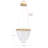 1-Transparent dimmable LED iron pendant light