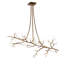 12 - Light Chandelier