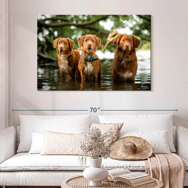Brampt Tollers In The Water, 32" H x 48" W
