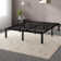 Russel 14'' Contemporary Modern Bed Frame