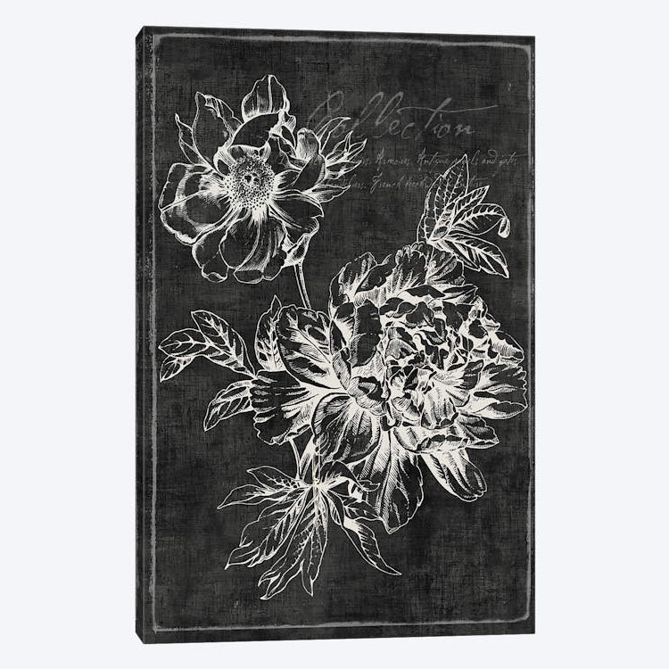 « black botanique i », impression sur toile, H 40 po x l 26 po x P 1,5 po