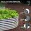 Potager surélevé Anleolife 2,4 m x 1,2 m avec bâche de serre et structure métallique