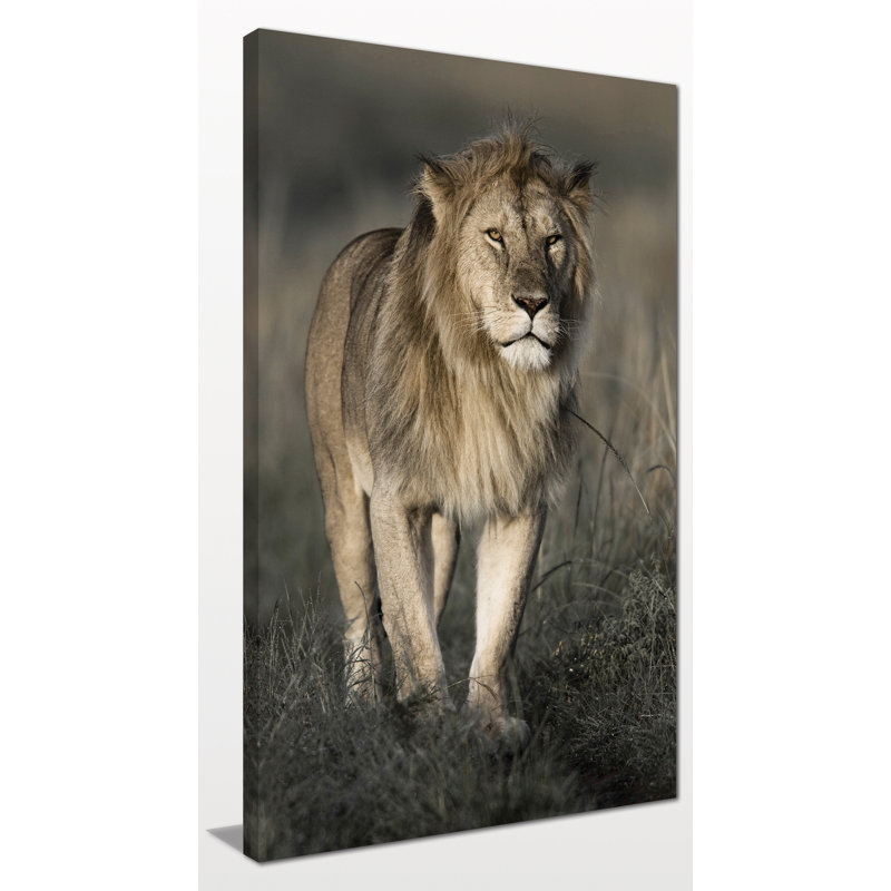 «Morning Walk in Masai Mara», reproduction de photo sur toile tendue, H 48 po x l 28 po