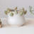 Decorative Stoneware Planter with Frog Figurine Rim