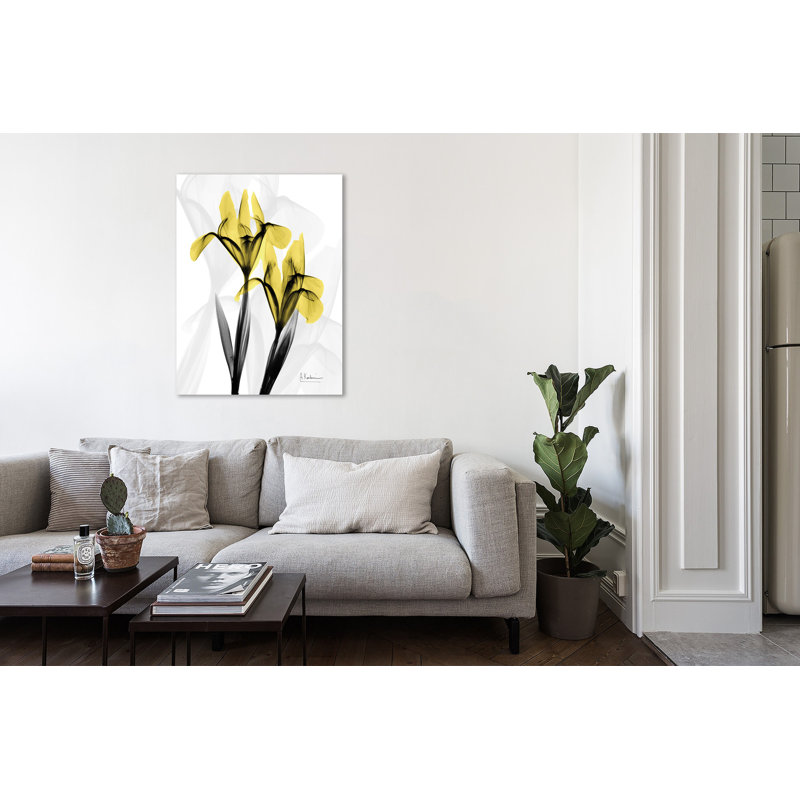 Iris - impression sur toile tendue, H 12 po x l 12 po