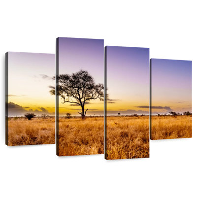 Alvord Kruger Park Sunrise Horizon
